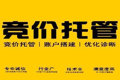 SEM推广公司案例：品牌知名度提升秘诀